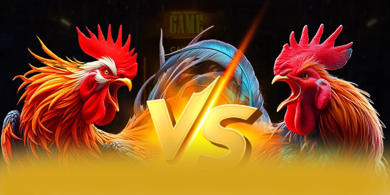 Khuyến mãi giá trị lớn dành cho tất cả người chơi tại 8XBET
