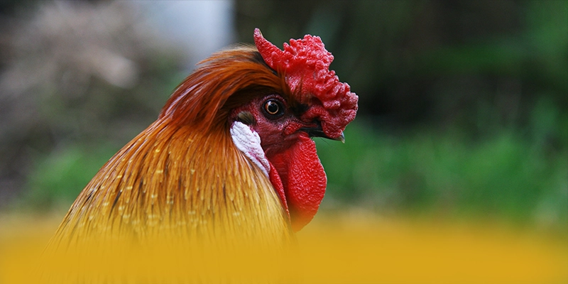 Quy trình nạp rút tiền nhanh chóng và an toàn tại 8XBET